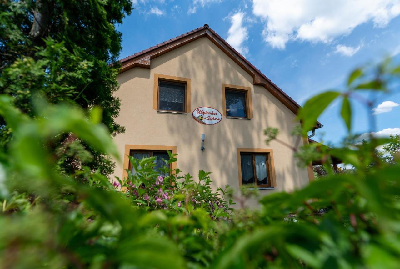 Penzion U Sykoru Třeboň Kültér fotó