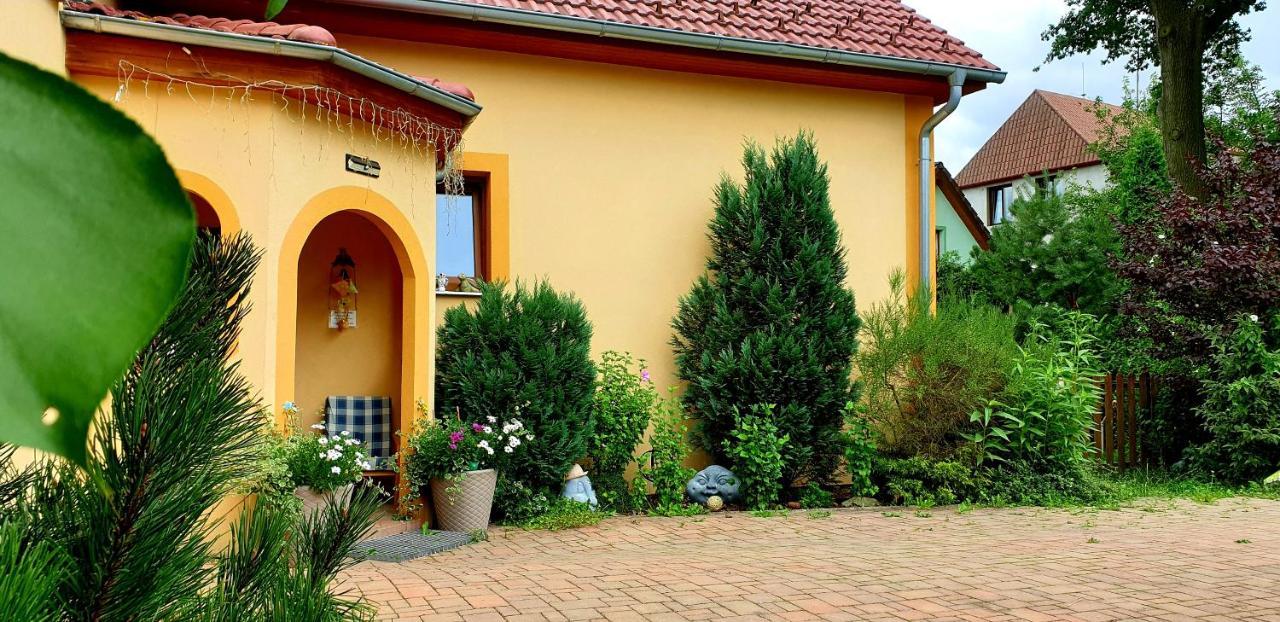 Penzion U Sykoru Třeboň Kültér fotó