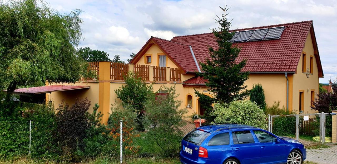 Penzion U Sykoru Třeboň Kültér fotó