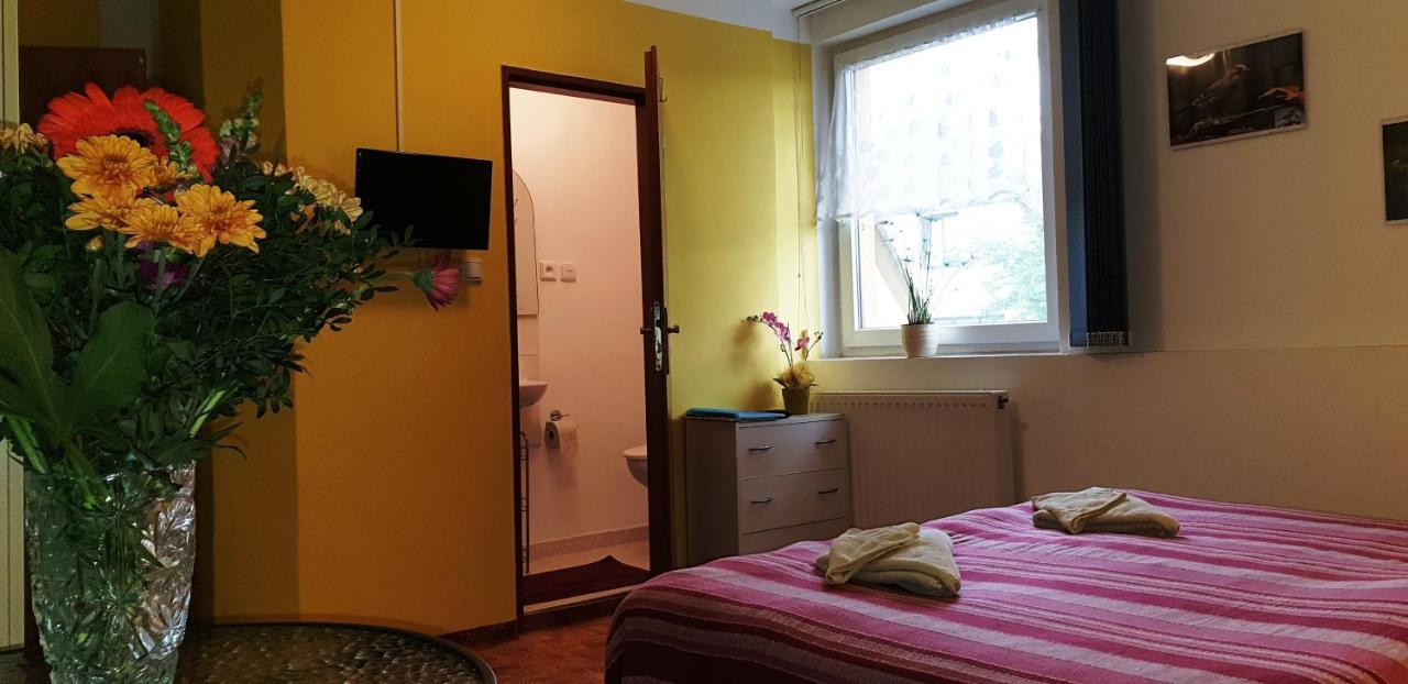 Penzion U Sykoru Třeboň Kültér fotó